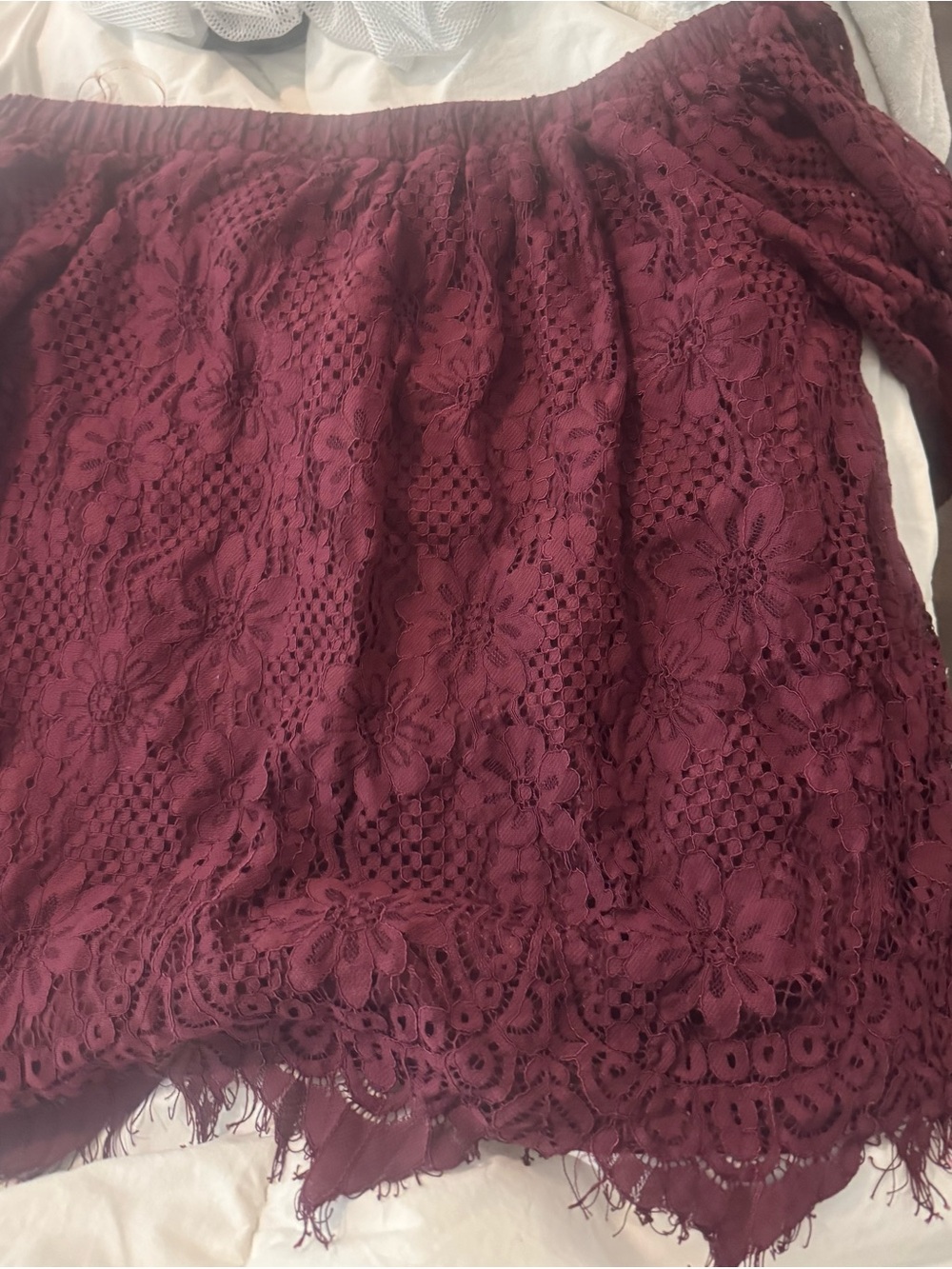 entro Wine Lace Off-Shoulder Blouse